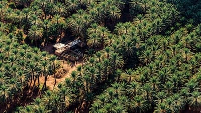 Agricultural